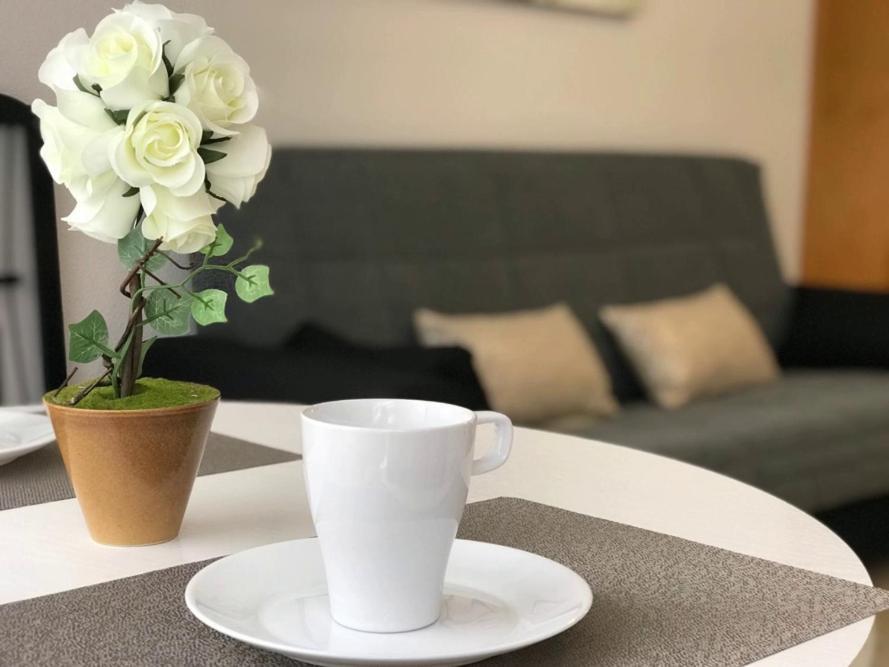 Del Cura Beach Apartment Torrevieja Luaran gambar